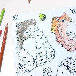 Zeichnungen von Bär, Eichhörnchen und Igel sowie Buntstifte