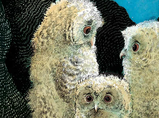Owl Babies Blog Header