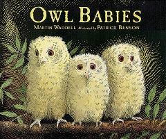 Owl babies lIbrio library