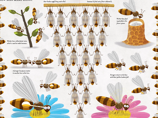 Imagen del interior del libro con muchas abejas