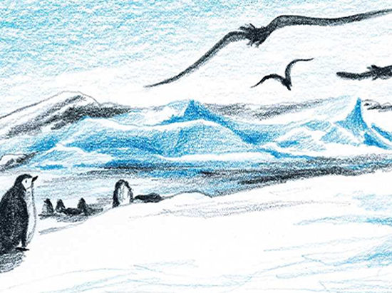 Ich kann fliegen - Der kleine Pinguin schaut den Möwen zu