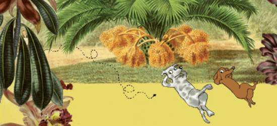 Lea und Finn langweilen sich - und liegen am Strand