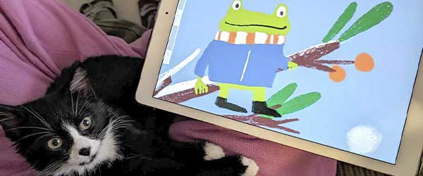 Bildwörterbuch: Katze und ipad