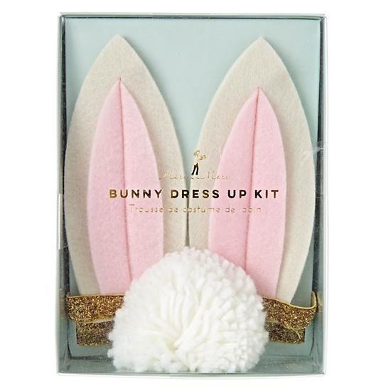 easter-bunny-dress-up-kit